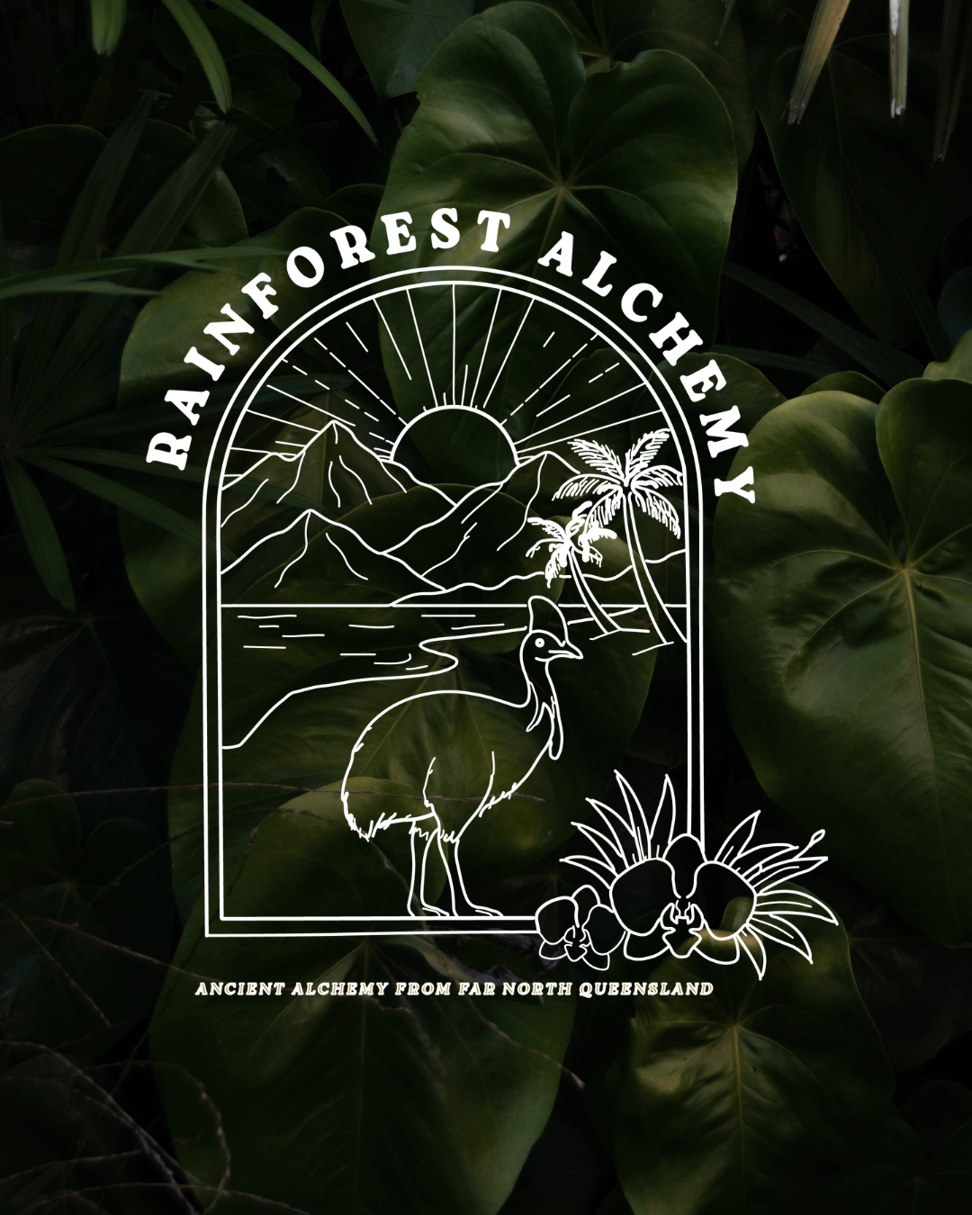 Nature Already Knows