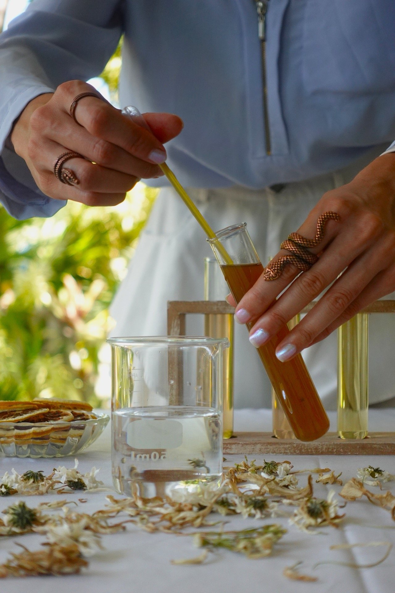 Rainforest Alchemy — Our Story