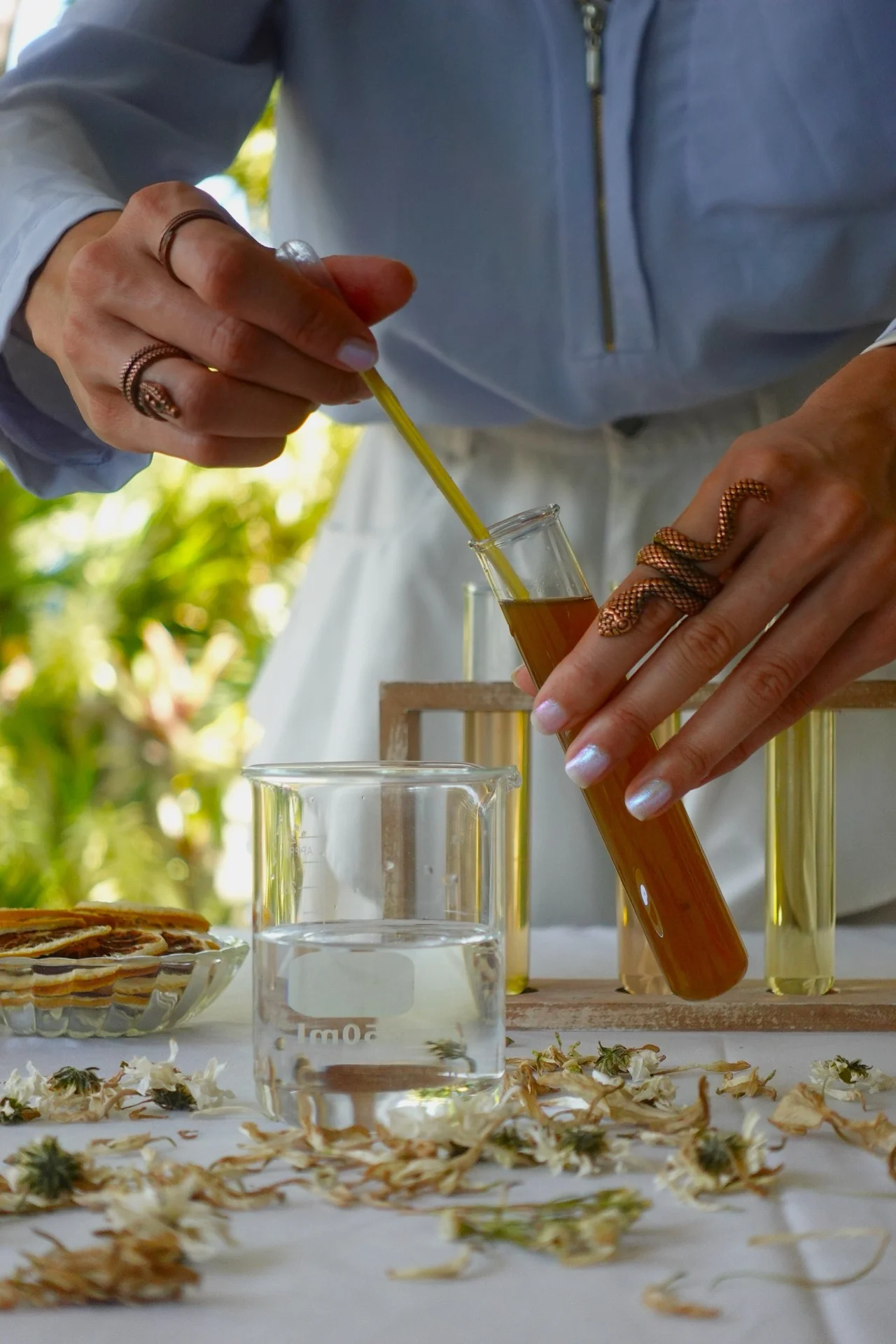Rainforest Alchemy — Our Story