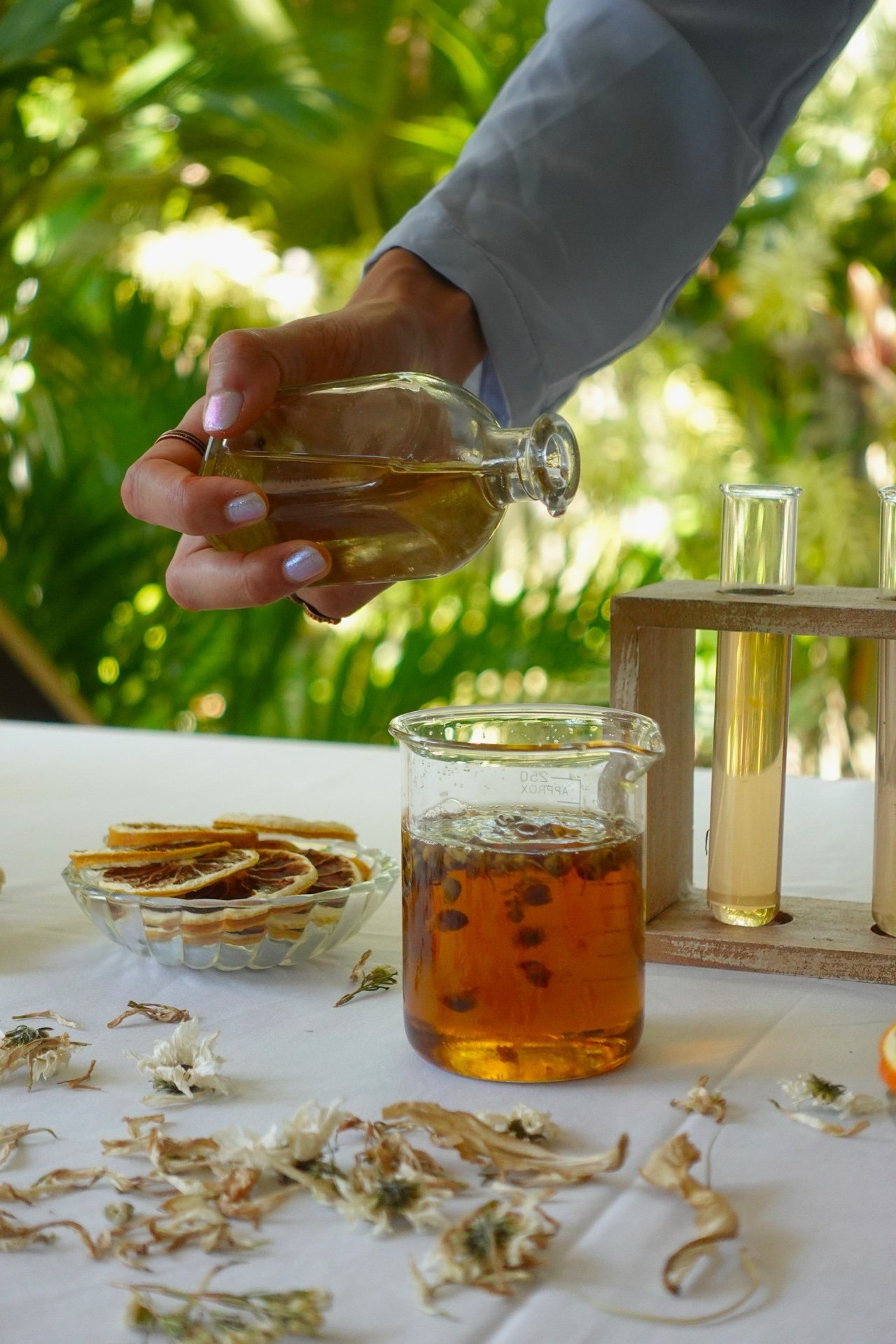 Botanical laboratory in the rainforest