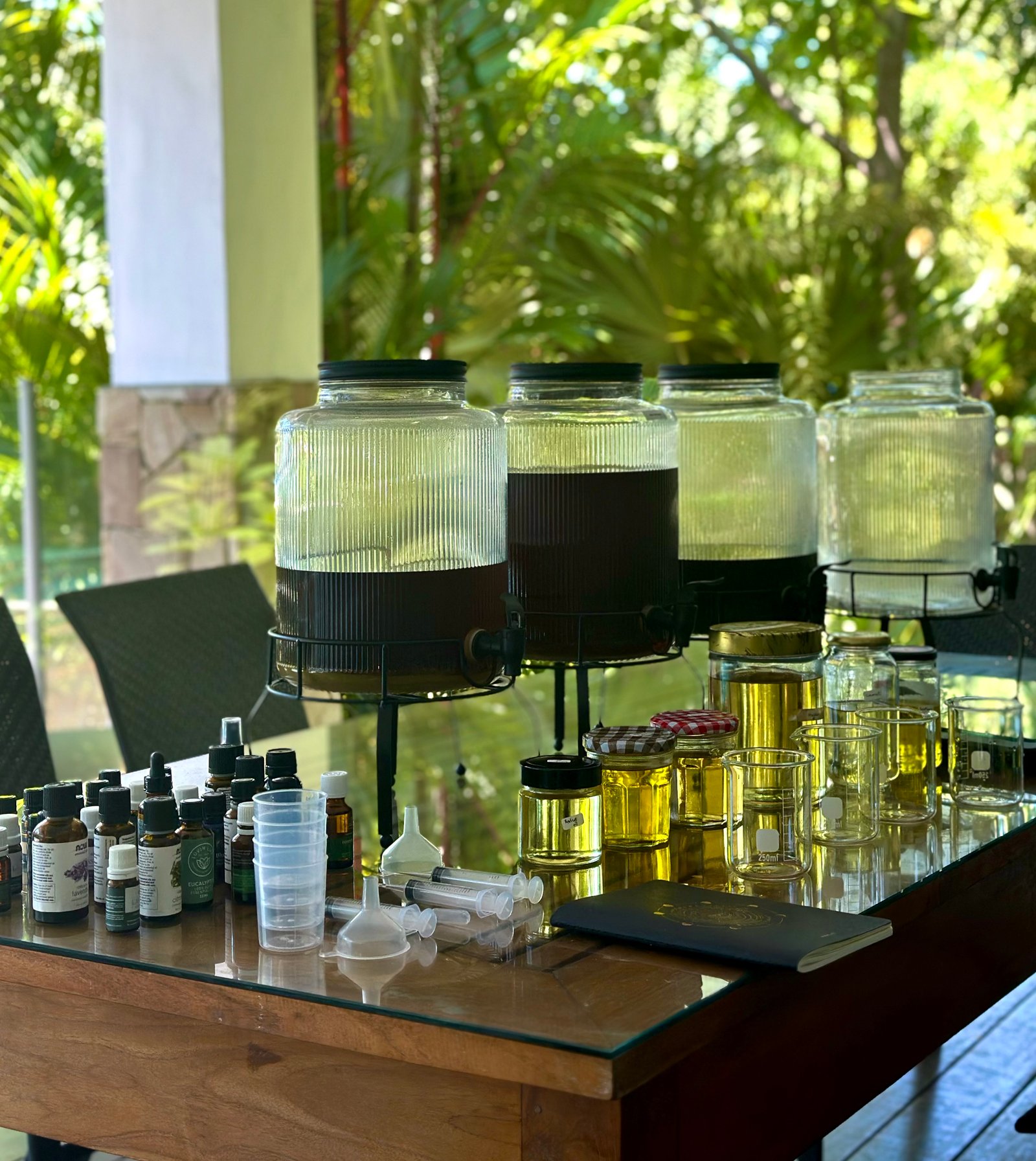 Citronella and lemon myrtle leaves